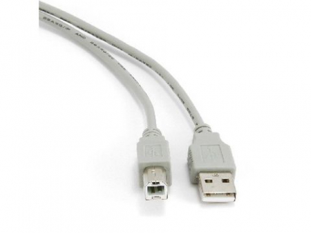 Кабель GEMBIRD/Cablexpert (01196) CC-USB2-AMBM-6 AM/BM, 1.8м (10)